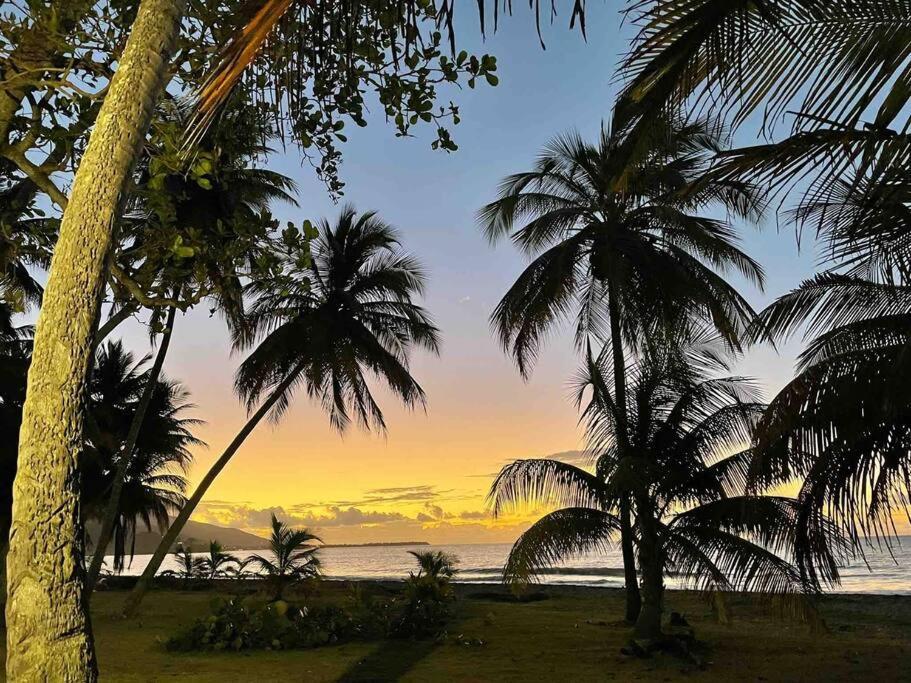 *New Campomar Beachfront 2Bdrm Villa In Arroyo Kültér fotó